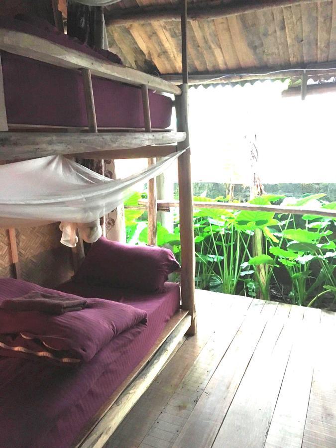 Nguyen Shack - Phong Nha Central Town Eksteriør bilde