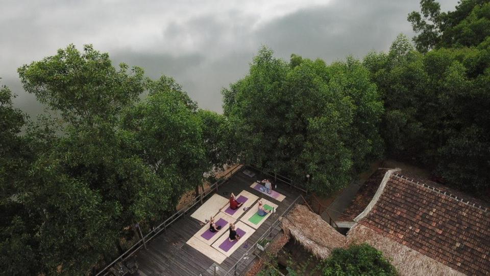 Nguyen Shack - Phong Nha Central Town Eksteriør bilde